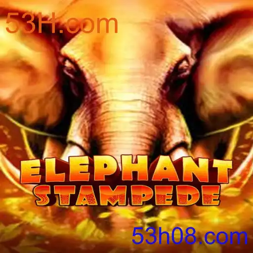 ElephantStampede